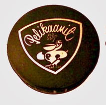 Pelikaanit-Pelikiekko